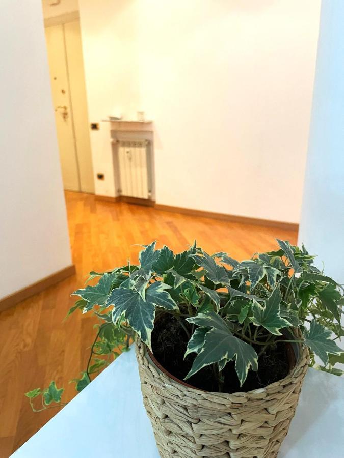 Ammiragli Vatican Experience 罗马 外观 照片